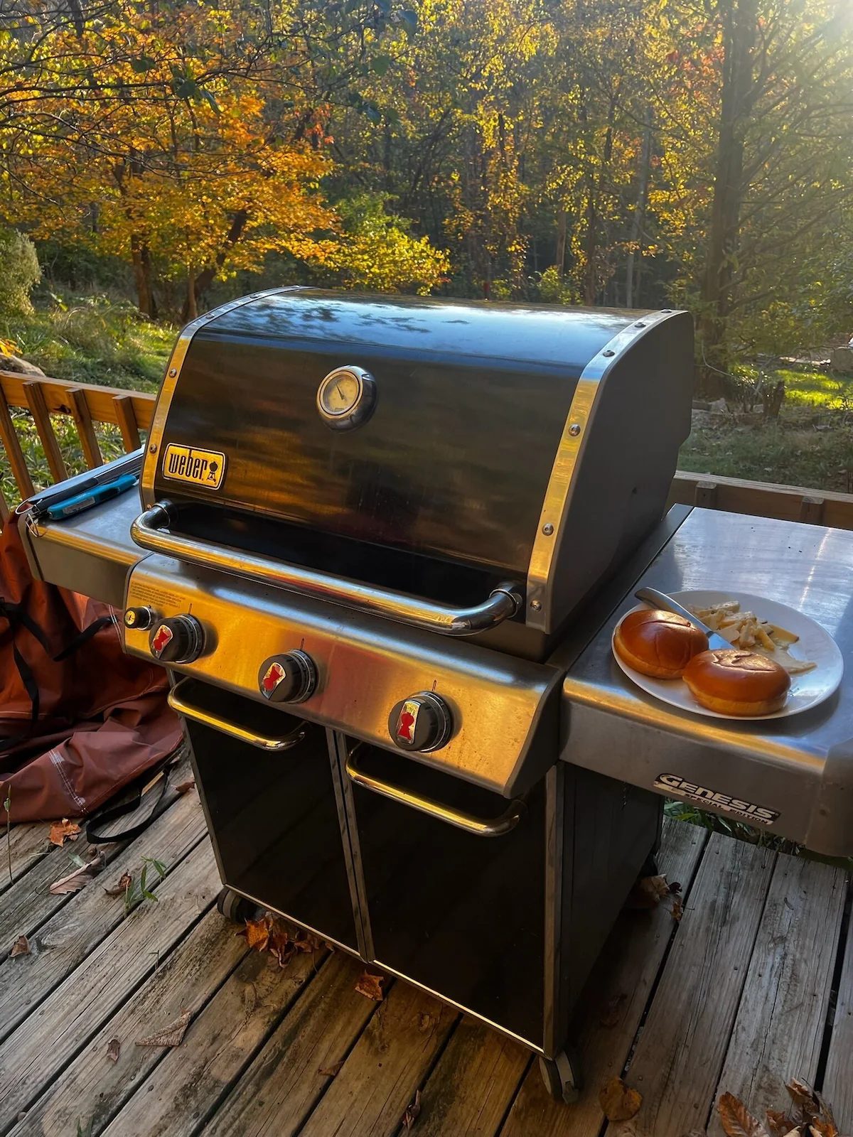 The gas grill on the deck with fall color behind it at golden hour