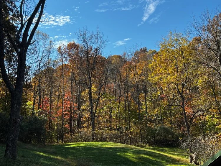 The meadow and treeline in late October color under a blue sky
