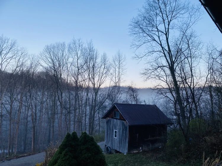 The barn among bare trees with fog filling the valley beyond at first light