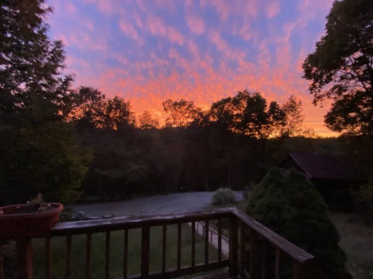 Pink and orange sunset over the treeline, seen from the deck railing