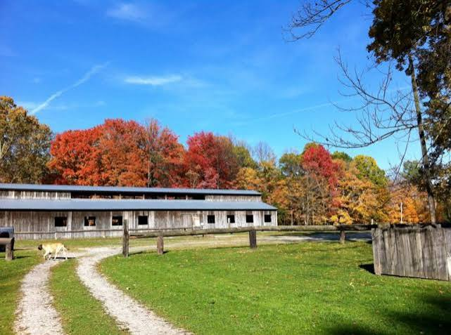 The stable and paddock at Uncle Buck&rsquo;s Riding Stable in fall